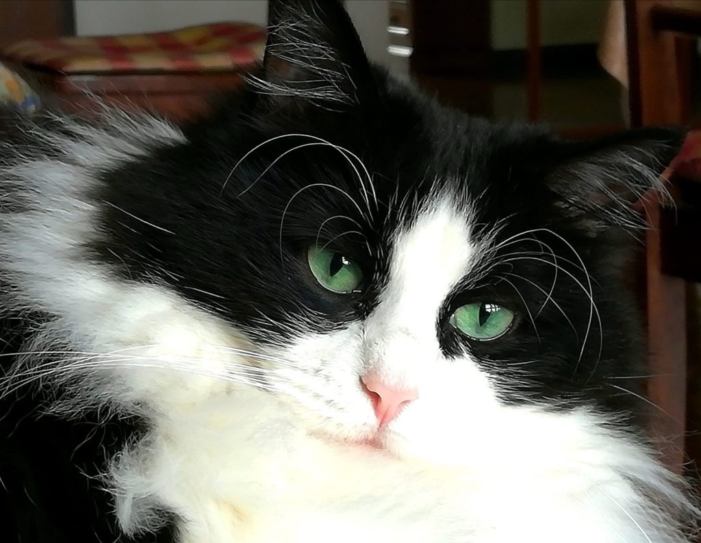 Nata il 4 di&nbsp;luglio